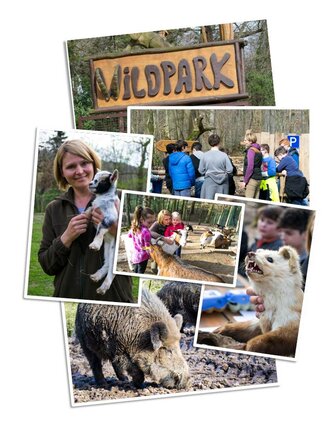 Wildpark_Collage
